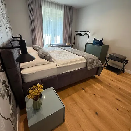 Center Upscale Free Parking Daire *