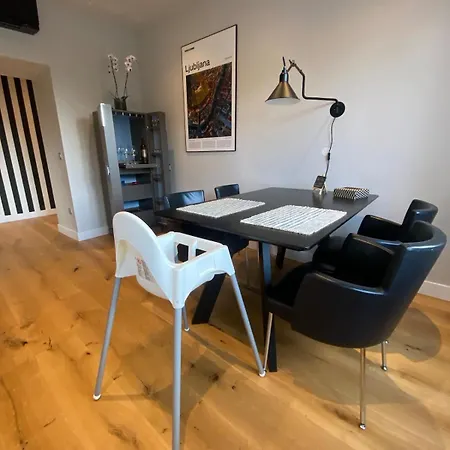 Center Upscale Free Parking Daire